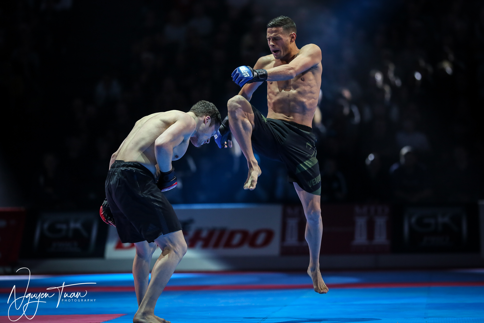 20190324 Festival des Arts Martiaux 5183